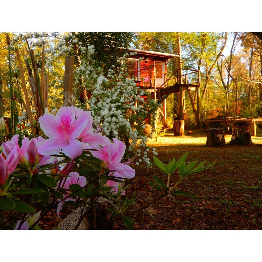 Holiday home Sol De Medianoche Delta *